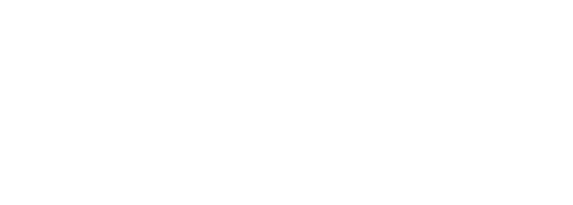 SvelTech — High Technology Beauty